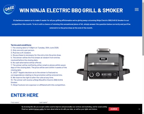 Preview Ninja Woodfire Electric Bbq Grill & Smoker