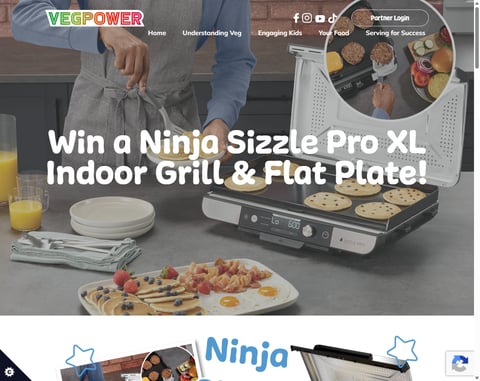 Preview Ninja Sizzle Pro Xl Indoor Grill & Flat Plate