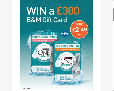 Preview £300 B&M Gift Card